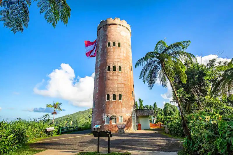 Pasadía en el Yunque